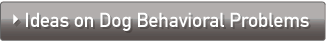 犬の問題行動の対処法のヒントはコチラ