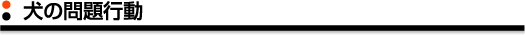 犬の問題行動