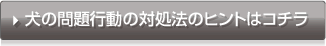 犬の問題行動の対処法のヒントはコチラ