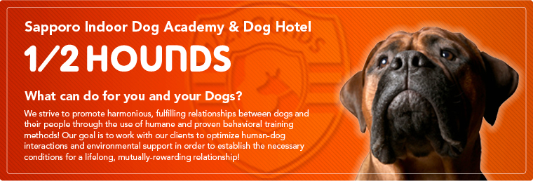 札幌発の犬のトレーニング＆ホテル_1/2HOUNDS