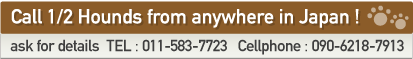 ask for details TEL:011-583-7723 Cellphone:090-6218-7913